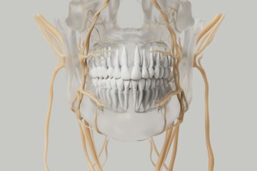 Ghostwriter Zahnmedizin